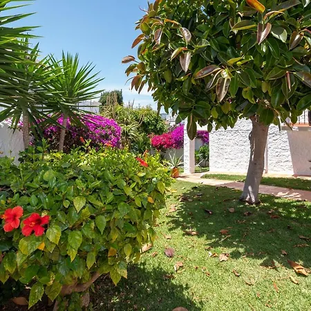 Casa Jazmin Daire